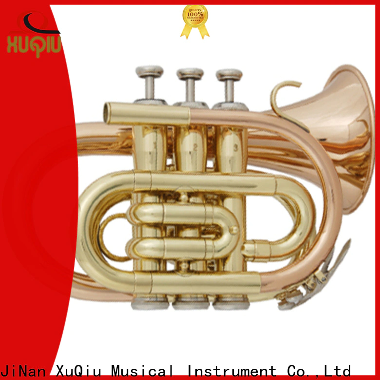 XuQiu xtr0021 beginner trumpet for sale design for beginner