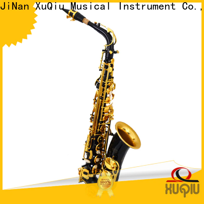 professional gold alto saxophone xal1800 supplier for beginner