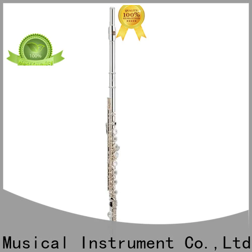 best learn flute xfl101 online for concert