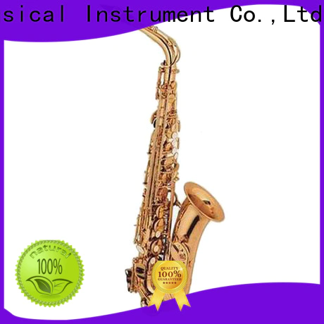 Wholesale professional alto saxophone for sale xal1013 supplier for beginner