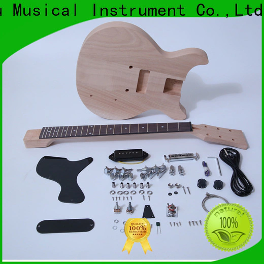 latest bargain musician guitar kit reviews sngk010 company for performance