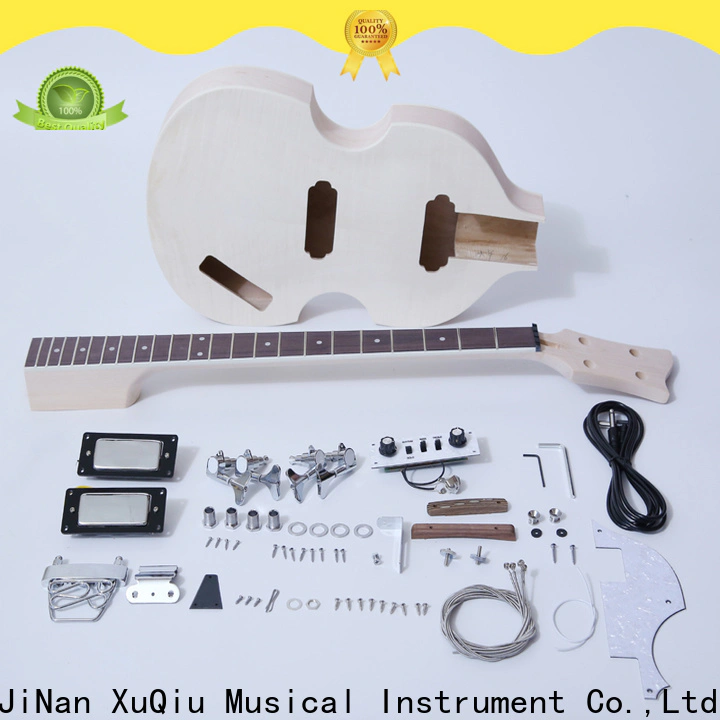 top hollow body bass kit electric for sale for kids
