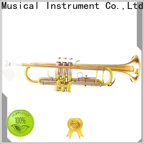 latest intermediate trumpet xtr004 brands for student