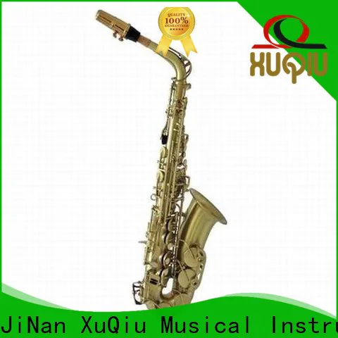 wholesale alto saxophone xal1005 brands for beginner