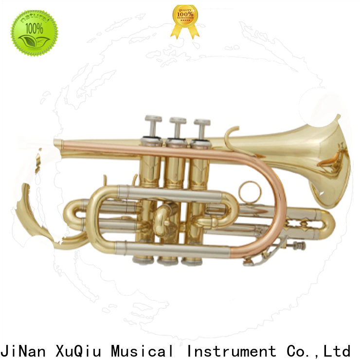 top cornet xtr004 for business for concert