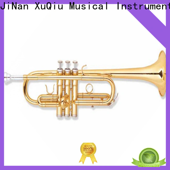 latest beginner trumpet xtr020 for sale for student