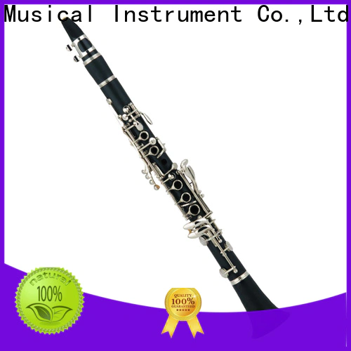 best bass clarinet solo xcl001 for sale for beginner