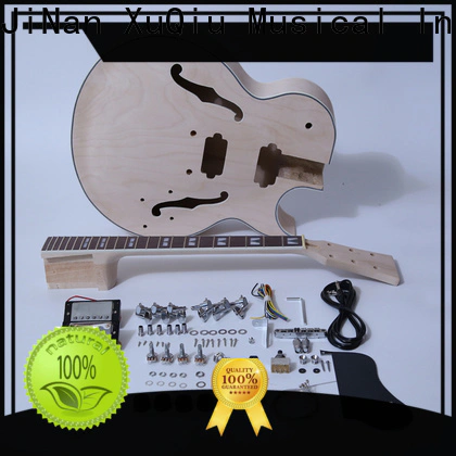best slash guitar kit sngk002 supply for concert