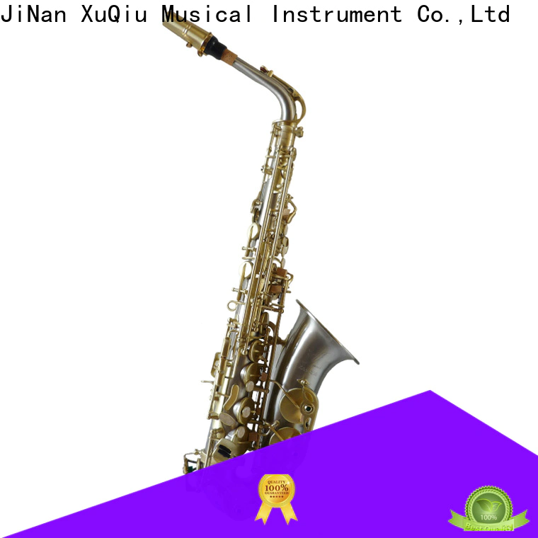 professional selmer alto saxophone xal3010 manufacturers for student