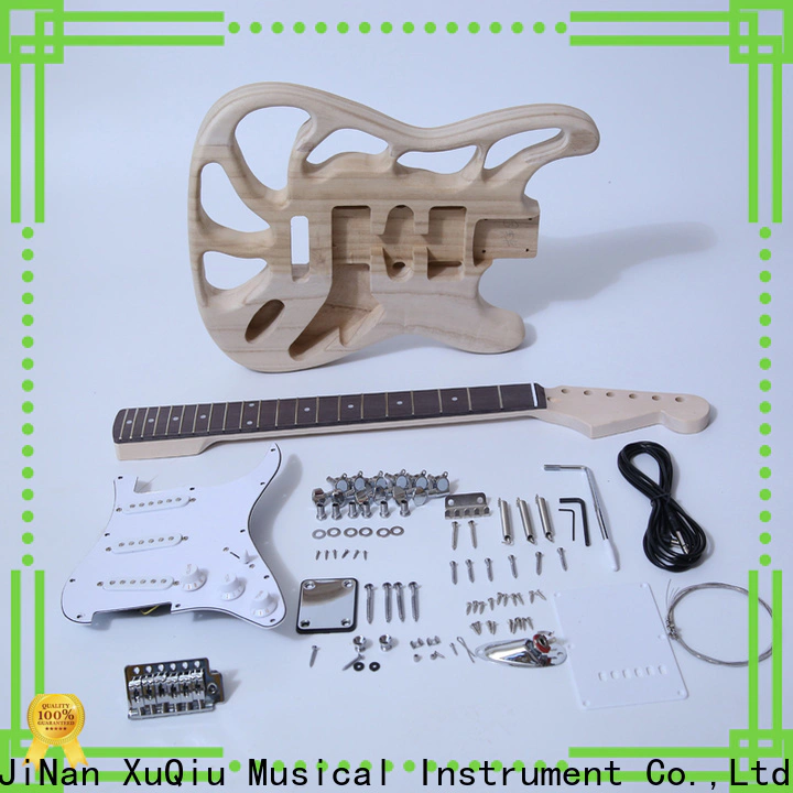 diy diy guitar kit review sngk001sb for sale for concert