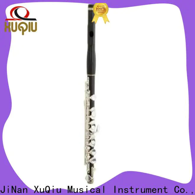 latest student piccolo instrument company for children