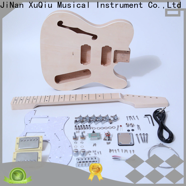 diy guitar string replacement kit paul factory for concert