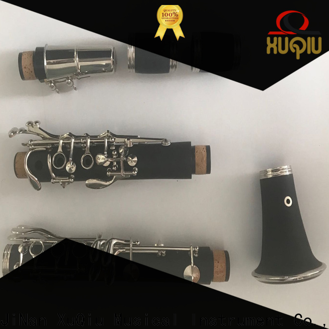 top high d on clarinet xcl101 for business for kids