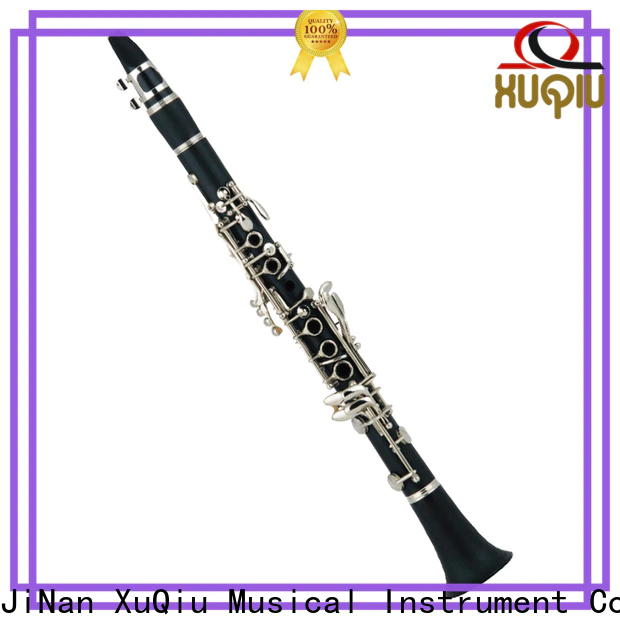 best intermediate clarinet xcl101 for sale for concert