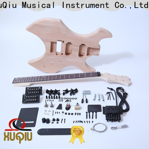best stratocaster guitar kit paul supply for beginner