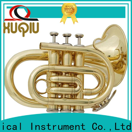professional best trumpet bach manufacturers for student