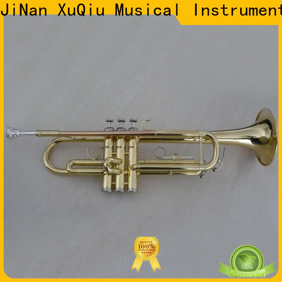 best trumpet solo xtr010 price for student