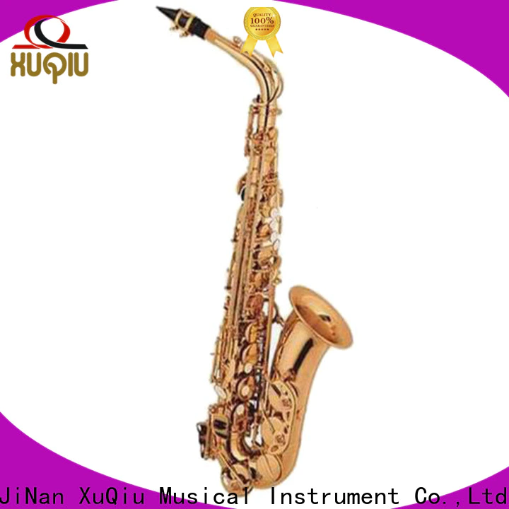 best vito alto saxophone xal2001 factory for beginner