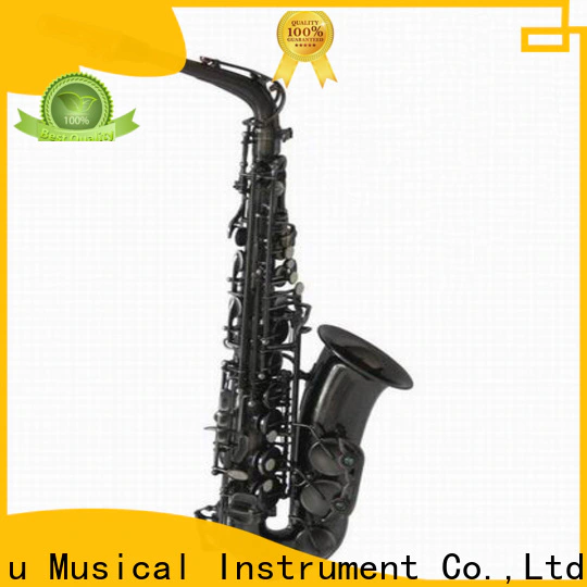 professional gold alto saxophone satin suppliers for beginner