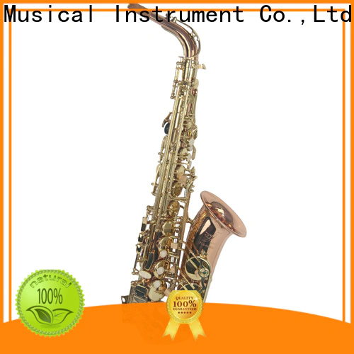 XuQiu xal2001 black alto saxophone manufacturers for student