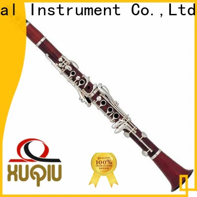 custom b clarinet xcl105 supply for student