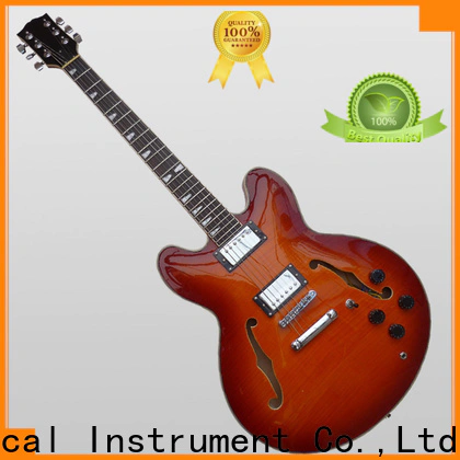 cheap custom guitar building sneg110 cost for student